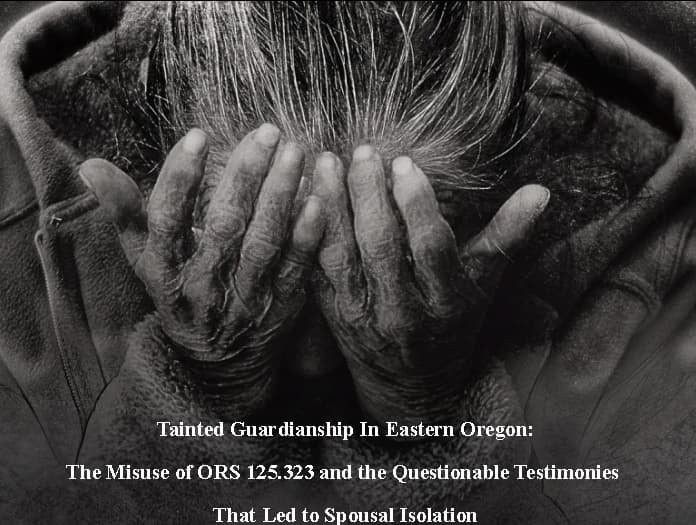 Investigating Guardianship Abuse